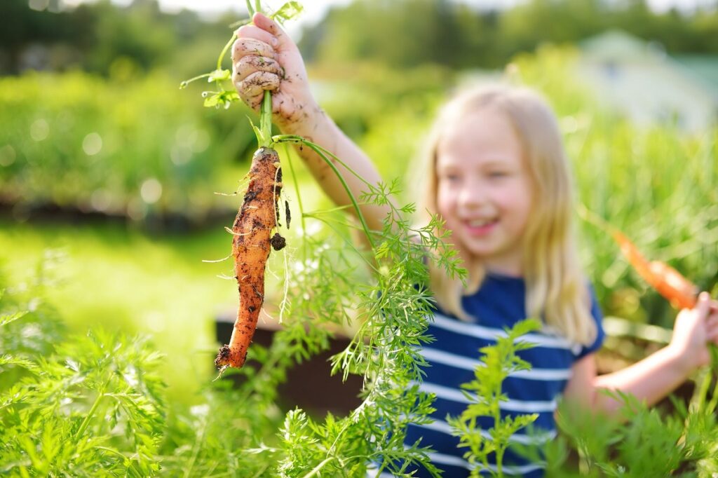 Dzieci i uprawa warzyw