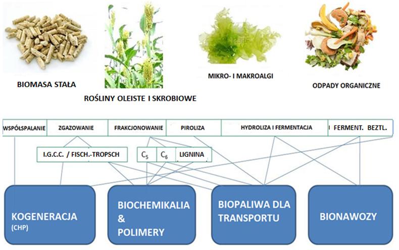Rys. 2  Technologie  optymalnego wykorzystania biomasy